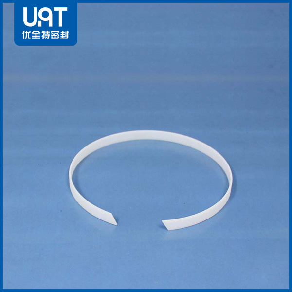 導(dǎo)向密封環(huán)DST