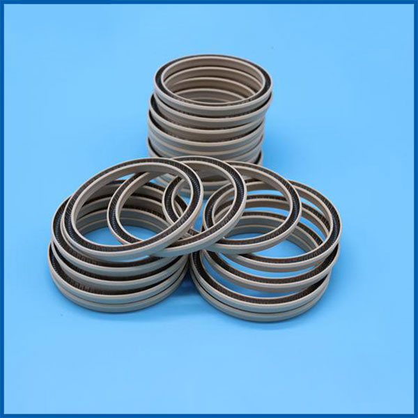 旋轉(zhuǎn)密封件