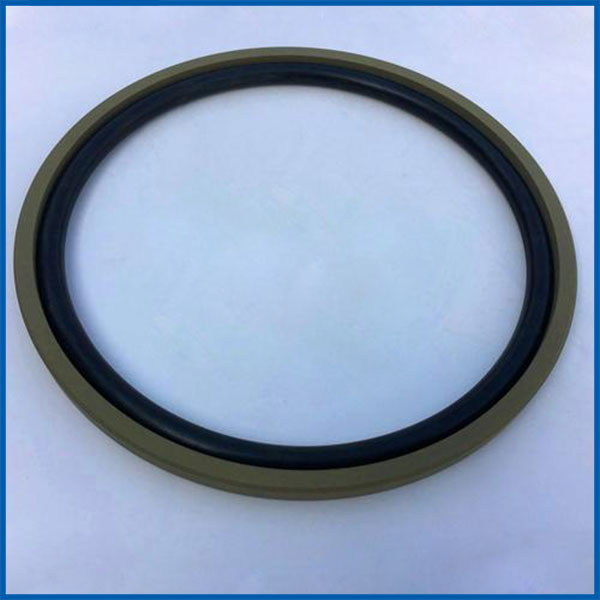 旋轉(zhuǎn)格萊圈