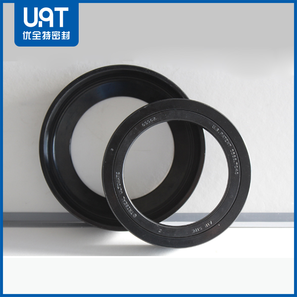 汽車(chē)輪轂氟橡膠油封