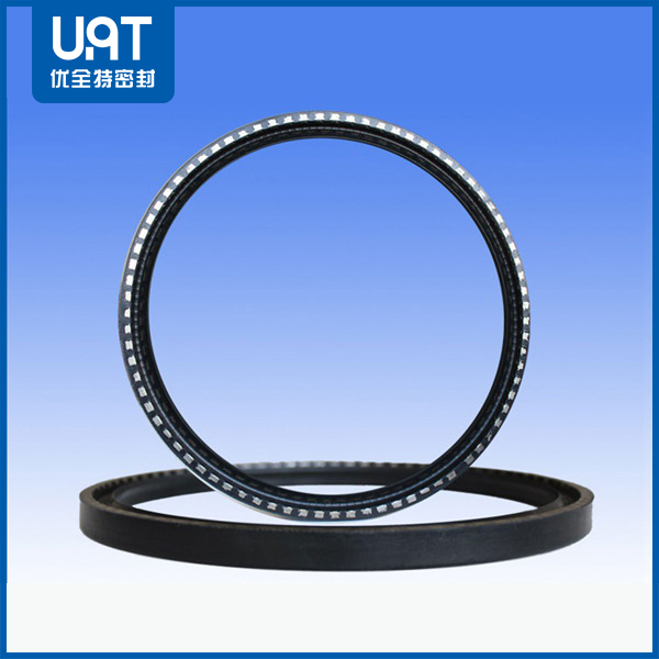 磨煤機(jī)氟橡膠骨架油封 磨煤機(jī)氟橡膠骨架油封