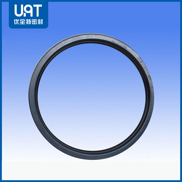 磨煤機(jī)氟橡膠骨架油封 磨煤機(jī)氟橡膠骨架油封