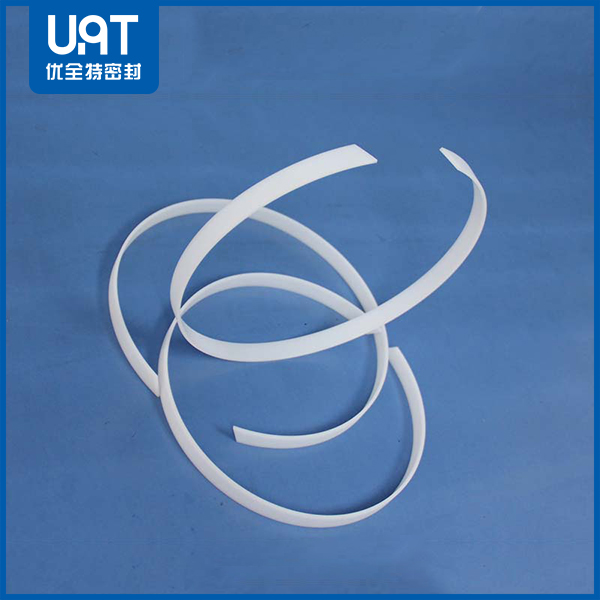 導(dǎo)向密封環(huán)DST 導(dǎo)向密封環(huán)DST