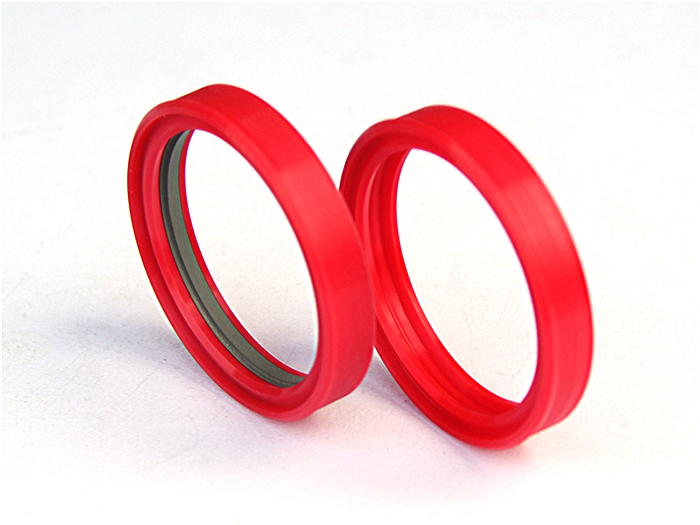 活塞桿同軸油封DTDI