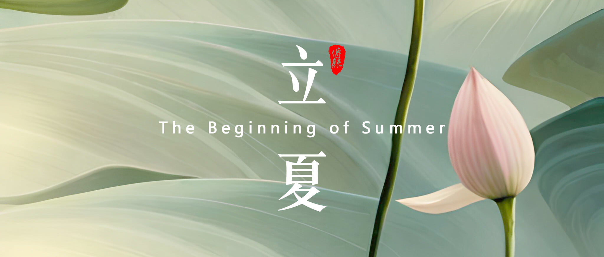 立夏:夏天的開始! 立夏:夏天的開始!