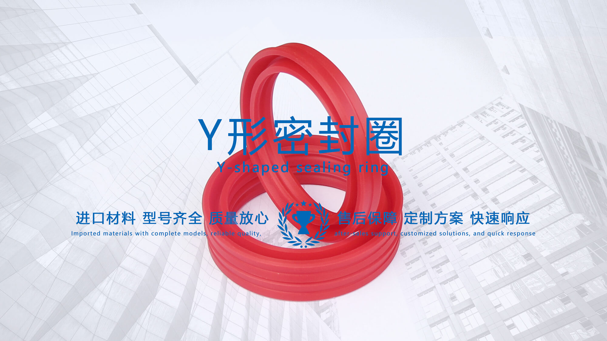 y型密封圈（又Y形密封圈，Y形圈，Y型圖或唇形密封圈，密封件油封膜片） (3)