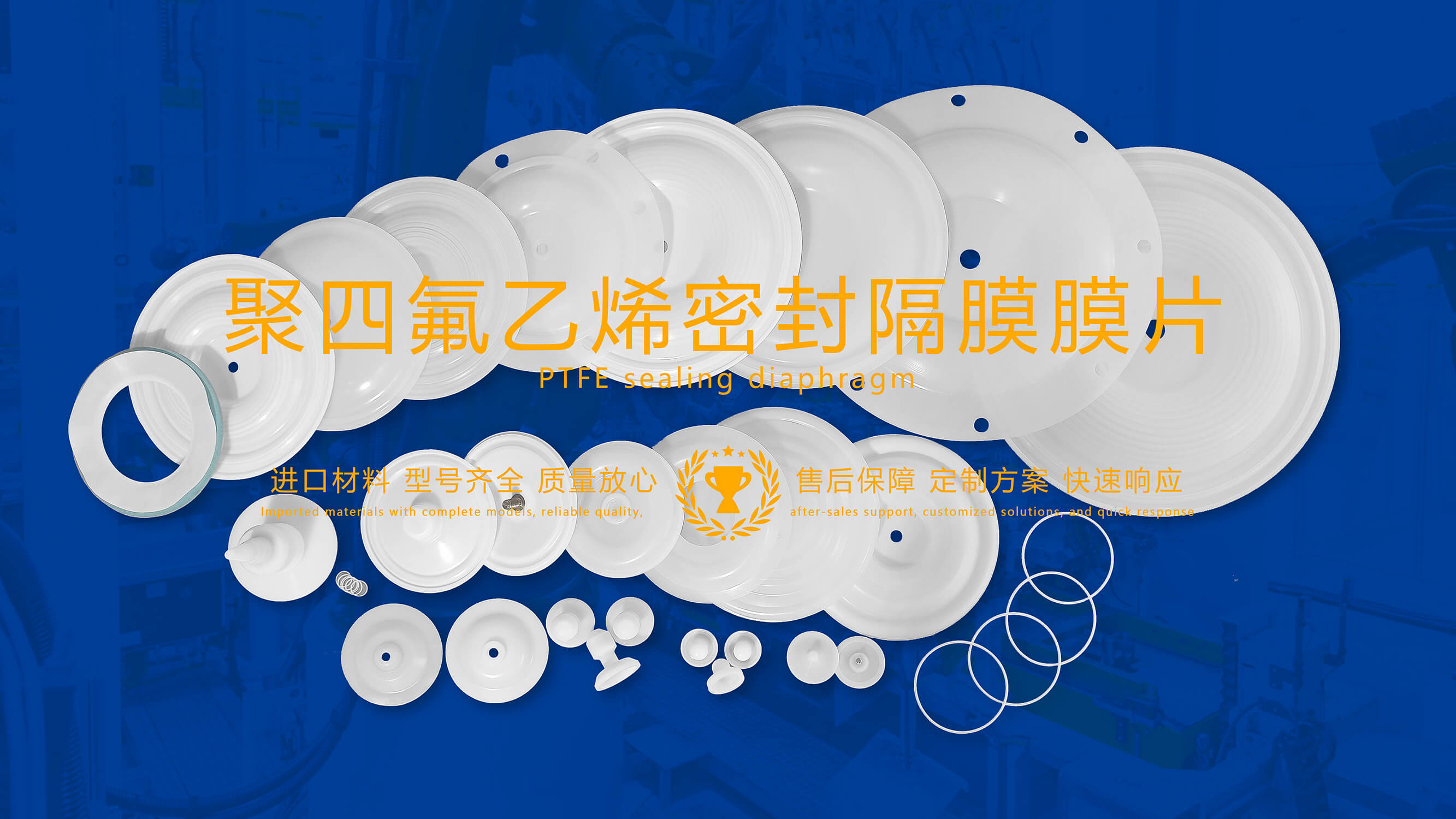 聚四氟乙烯密封圈（PTFE）油封