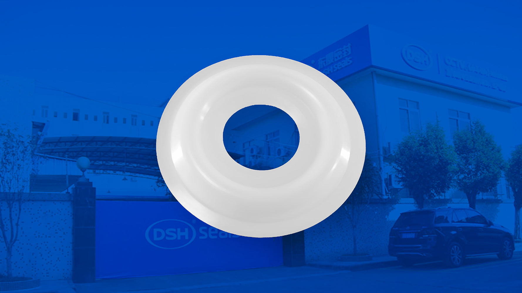 米頓羅計量泵膜片 （又叫隔膜、密封件、密封圈、油封） (2)