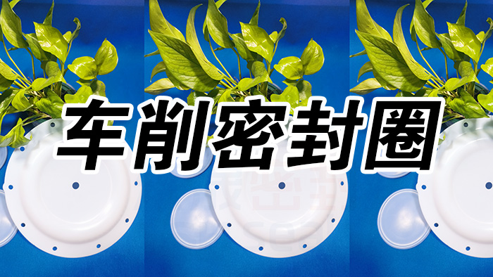 2車削密封圈，氣動隔膜泵膜片密封件